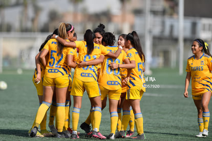 Celebran gol | Santos vs Tigres J13 C2023 Liga MX