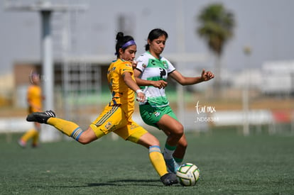 Yessenia Novella, Alika Sánchez | Santos vs Tigres J13 C2023 Liga MX