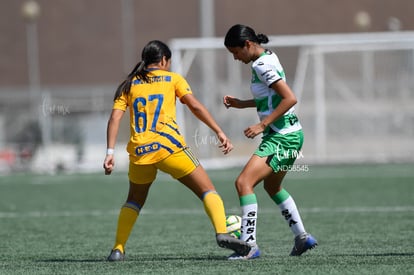 Perla Pérez, Aylin Salais | Santos vs Tigres J13 C2023 Liga MX