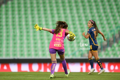  | Santos vs Tigres femenil