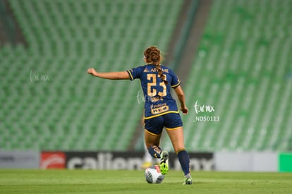  | Santos vs Tigres femenil