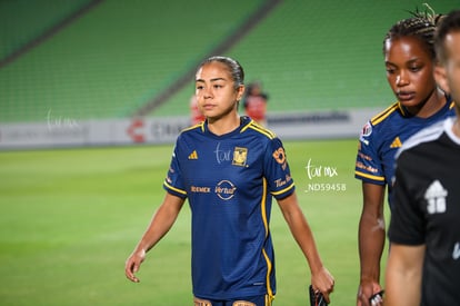  | Santos vs Tigres femenil