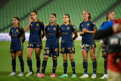  | Santos vs Tigres femenil