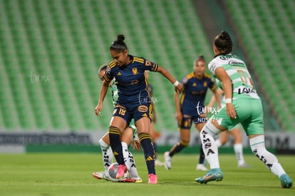 Belén Cruz, Stephanie Soto | Santos vs Tigres femenil