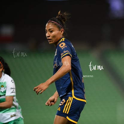  | Santos vs Tigres femenil