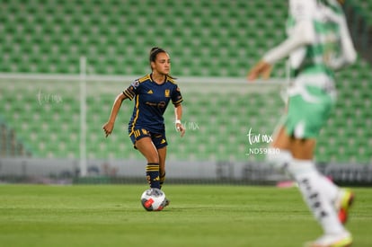  | Santos vs Tigres femenil