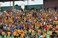 Afición tigres