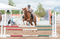 Segunda copa ecuestre Las Brisas