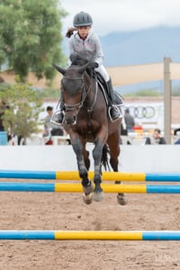 Segunda copa ecuestre Las Brisas