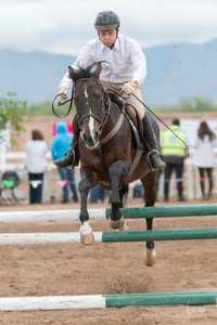 Segunda copa ecuestre Las Brisas