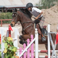 Segundo concurso de salto ecuestre La Barranca