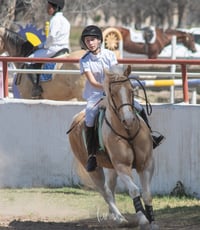 Segundo concurso de salto ecuestre La Barranca