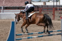 Segundo concurso de salto ecuestre La Barranca