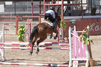 Segundo concurso de salto ecuestre La Barranca