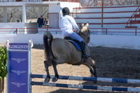 Segundo concurso de salto ecuestre La Barranca