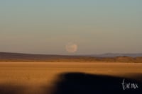 Super luna enero de 2019