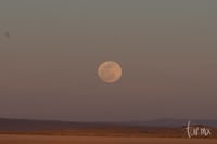 Super luna enero de 2019