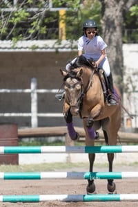 Tercer concurso de Salto 2019 Hípico La Cabaña