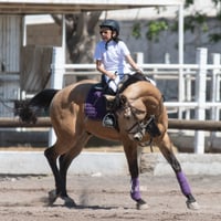 Tercer concurso de Salto 2019 Hípico La Cabaña