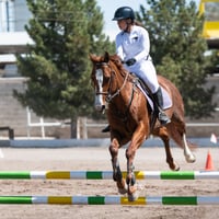 Tercer concurso de Salto 2019 Hípico La Cabaña