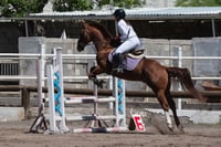 Tercer concurso de Salto 2019 Hípico La Cabaña