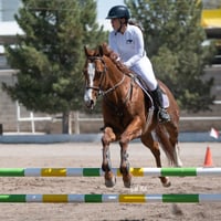 Tercer concurso de Salto 2019 Hípico La Cabaña