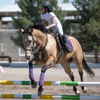 Tercer concurso de Salto 2019 Hípico La Cabaña