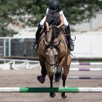 Tercer concurso de Salto 2019 Hípico La Cabaña