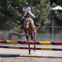 Tercer concurso de Salto 2019 Hípico La Cabaña