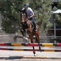 Tercer concurso de Salto 2019 Hípico La Cabaña