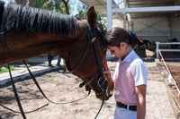 Tercer concurso de Salto 2019 Hípico La Cabaña