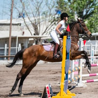 Tercer concurso de Salto 2019 Hípico La Cabaña