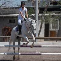 Tercer concurso de Salto 2019 Hípico La Cabaña