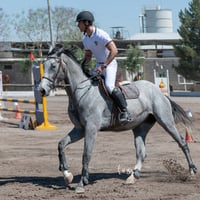 Tercer concurso de Salto 2019 Hípico La Cabaña