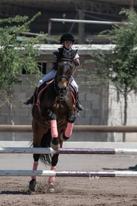 Tercer concurso de Salto 2019 Hípico La Cabaña