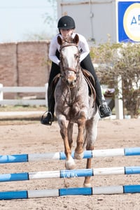 Concurso de salto Las Brisas