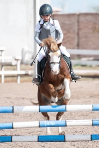 Concurso de salto Las Brisas