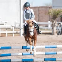 Concurso de salto Las Brisas