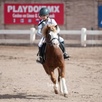 Concurso de salto Las Brisas