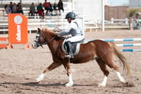 Concurso de salto Las Brisas