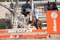 Concurso de salto Las Brisas