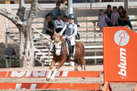 Concurso de salto Las Brisas