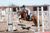 Concurso de salto Las Brisas