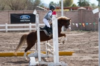 Concurso de salto Las Brisas