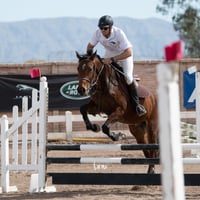 Concurso de salto Las Brisas