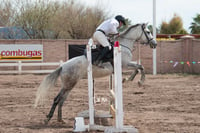 Concurso de salto Las Brisas