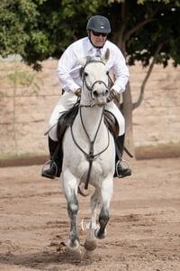 Concurso de salto Las Brisas