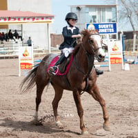 Concurso de salto Las Brisas