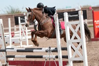 Concurso de salto Las Brisas