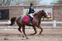 Concurso de salto Las Brisas